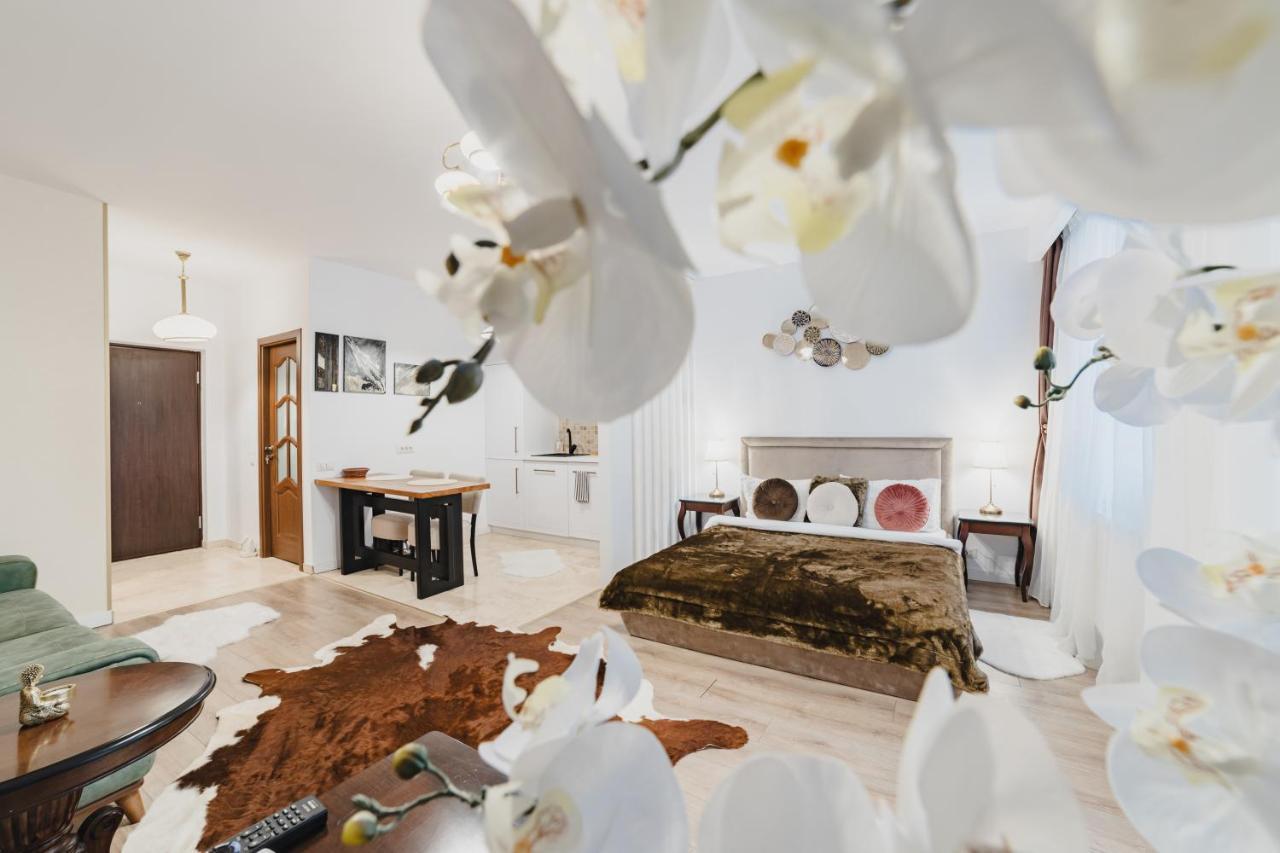 Seasons Atmosphere Studio Apartment Brasov Exterior photo