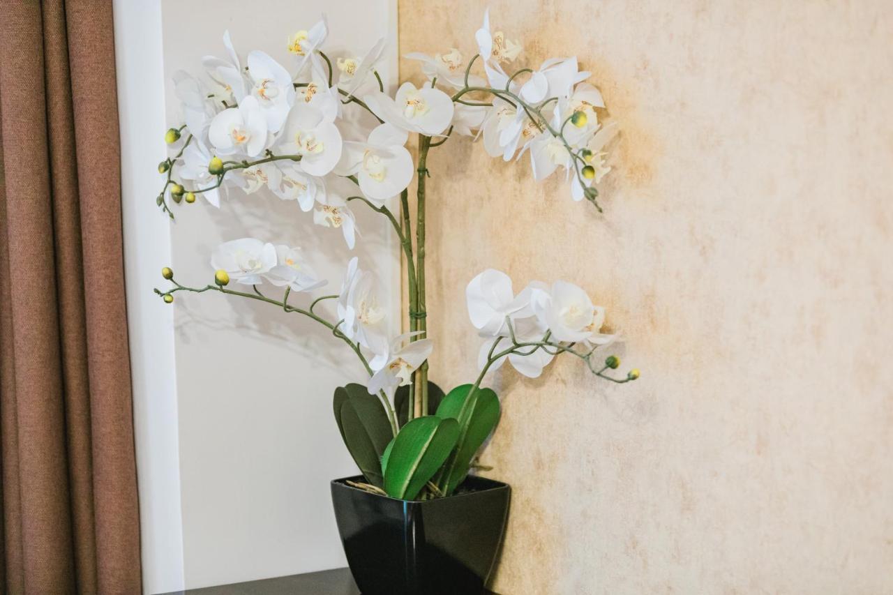 Seasons Atmosphere Studio Apartment Brasov Exterior photo